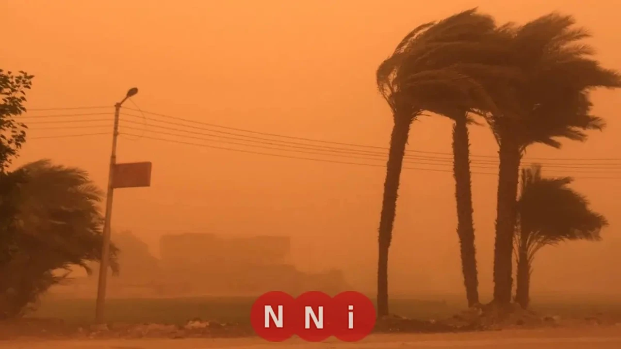 تحذير لـ7 ساعات.. الأرصاد المصرية تنبه من شبورة كثيفة تضرب الطرق صباحا